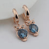 Classic Owl Retro Earrings