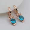 Classic Owl Retro Earrings