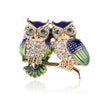 Blue Eyes Couple Owl Brooch